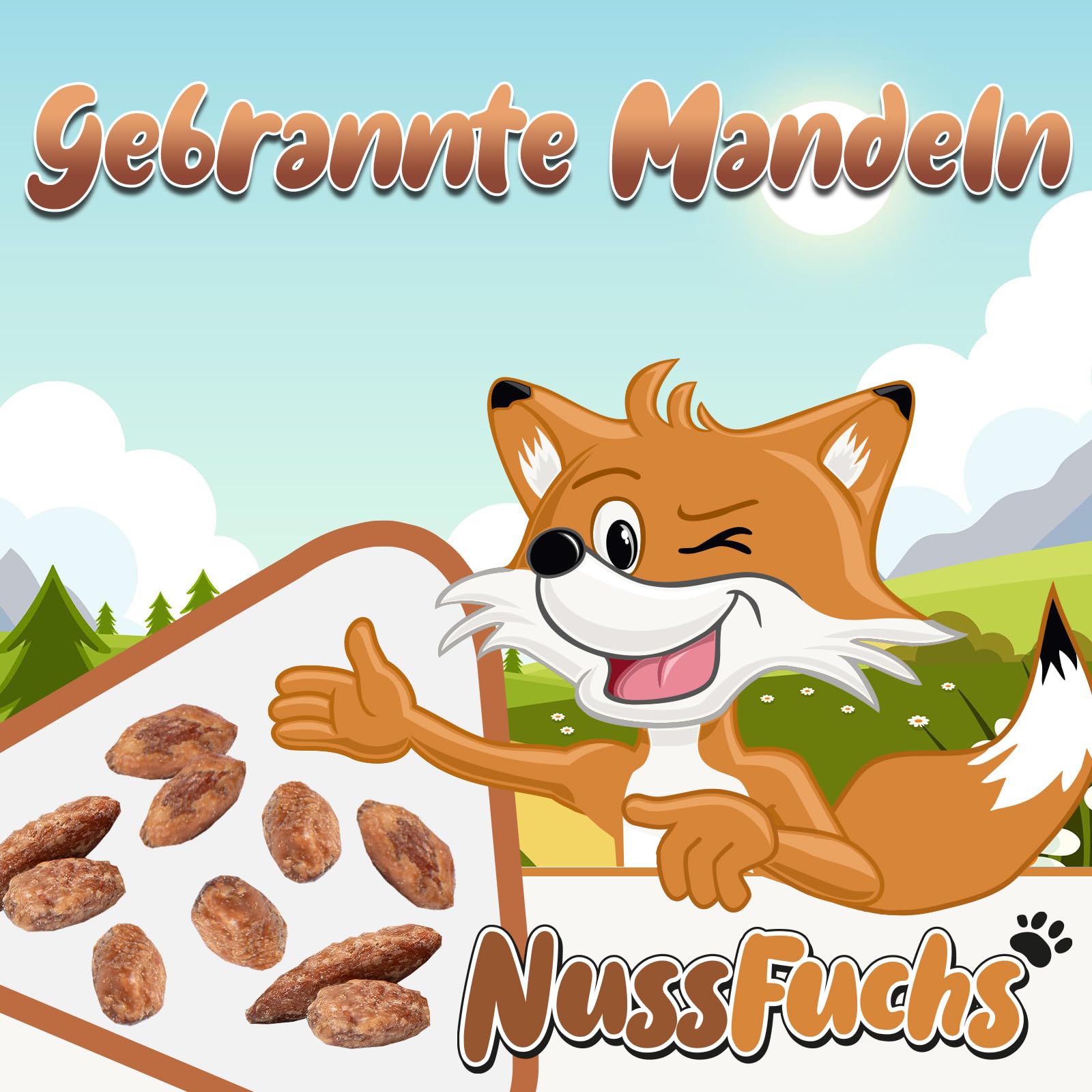 Gebrannte Mandeln 1kg – karamellisierte Mandeln wie vom Jahrmarkt/Weihnachtsmarkt | geröstet & gezuckert | Knusprige ganze Mandelkerne – Knusper-Snack im Eimer