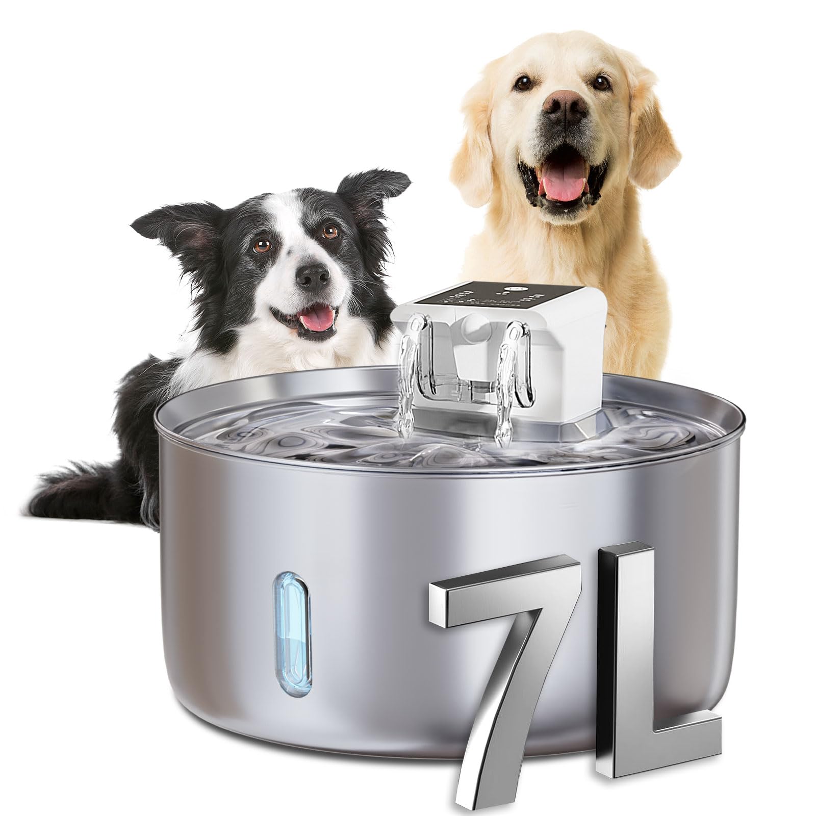 dog pet fountain