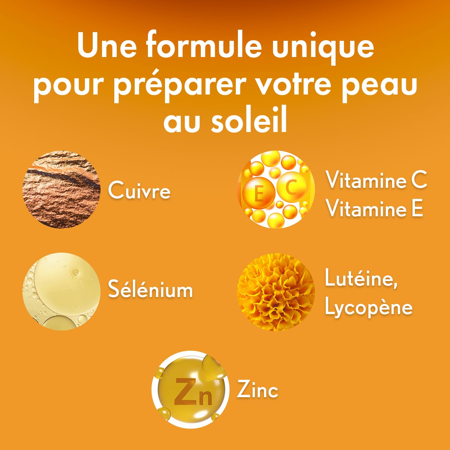 OENOBIOL SUN EXPERT Préparateur Solaire Anti-Âge - Efficacité Anti-Âge prouvée - Protection cellulaire renforcée - Favorise un hâle intense et éclatant - Complément Alimentaire 30 capsules - 1 mois