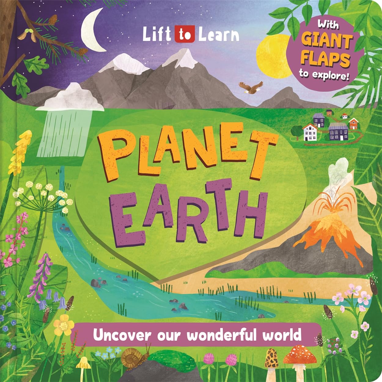 Planet Earth (Lift the flaps to discover and learn)