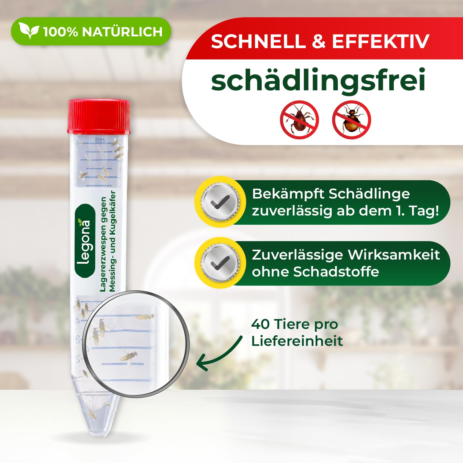 Legona Lagererzwespen gegen Kugelkäfer und Messingkäfer 1 Röhrchen (10m²) - Materialschutz für Wohnung, Vorrat und Lager