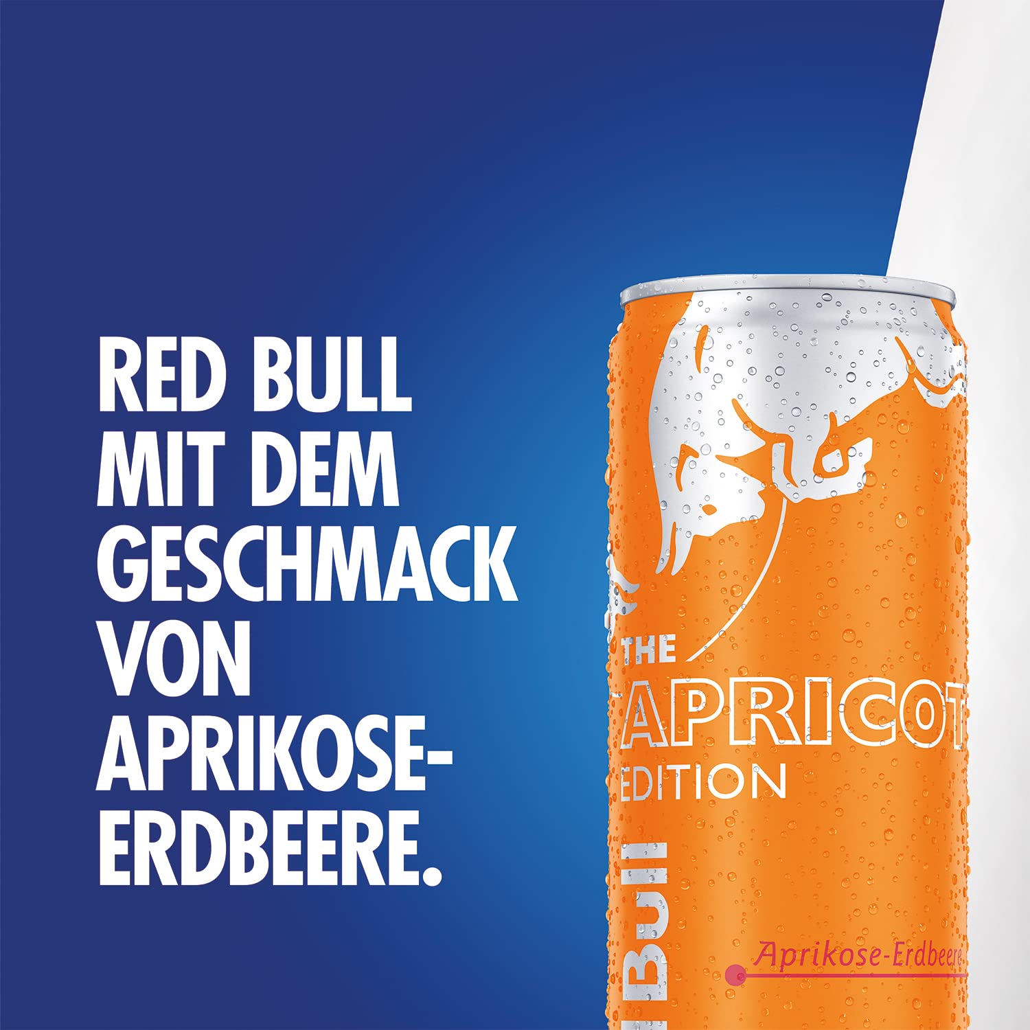 Red Bull Energy Drink Apricot Edition - 24er Palette Dosen - Getränke mit Aprikose-Erdbeere-Geschmack, EINWEG (24 x 250 ml)