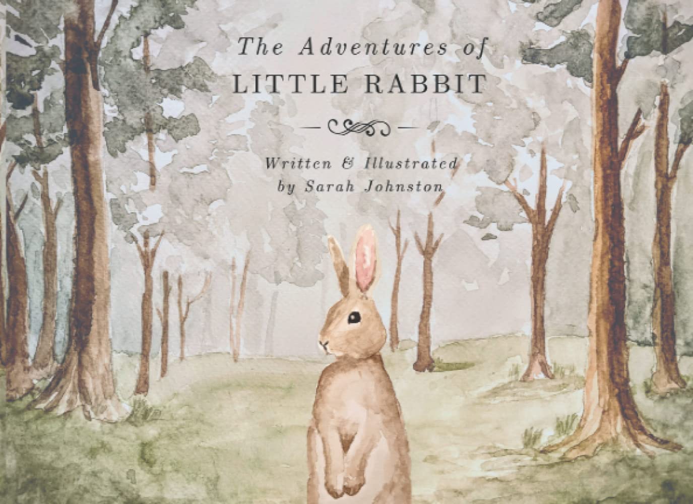 The Adventures of Little Rabbit