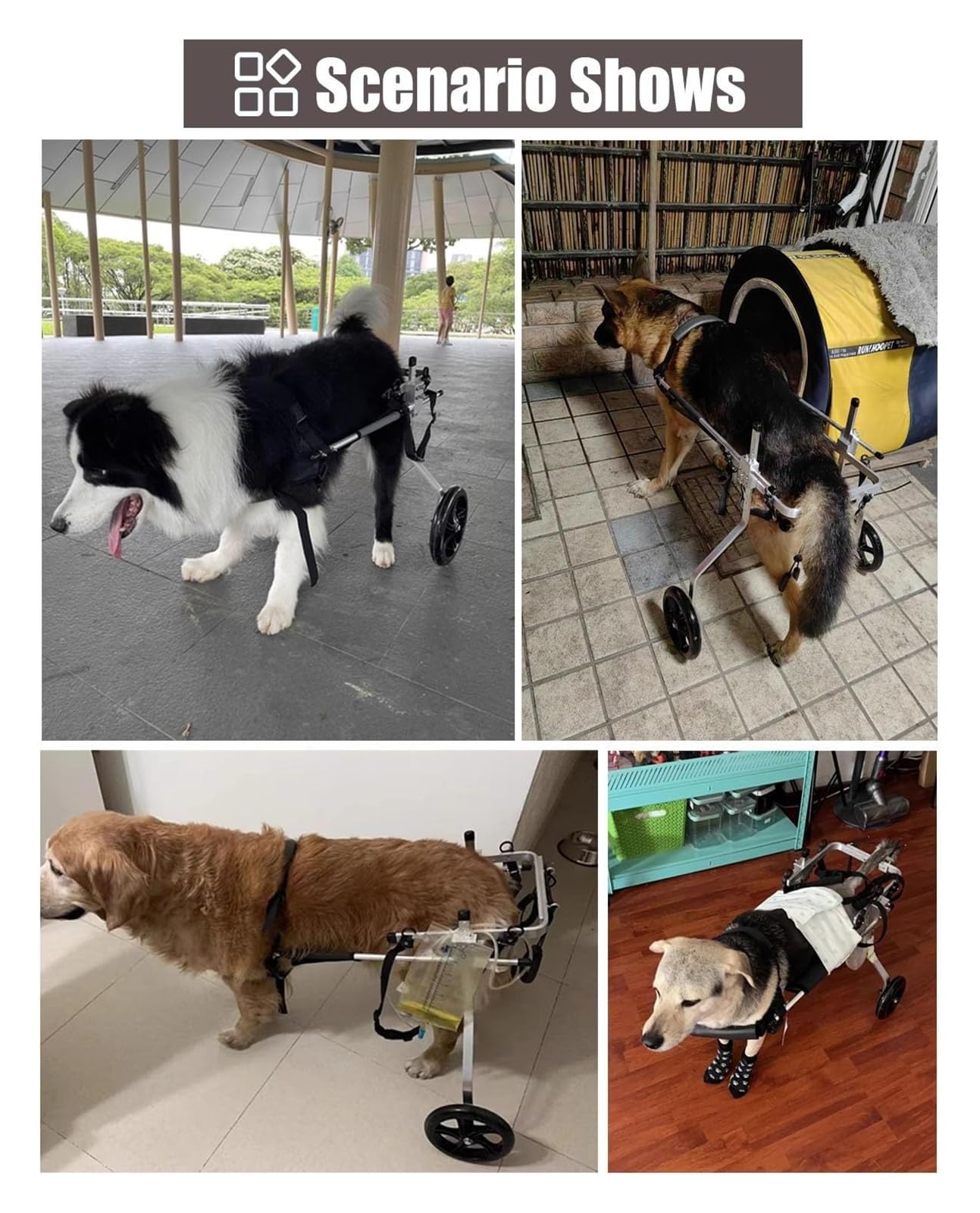 Carrello Cani Disabili, Sedia a rotelle per Cani, Deambulatore assistito a 2 Ruote for Arti Posteriori paralizzati, Carrello for la Mobilità in Alluminio(Size XXXL)