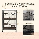 Ver la foto 5