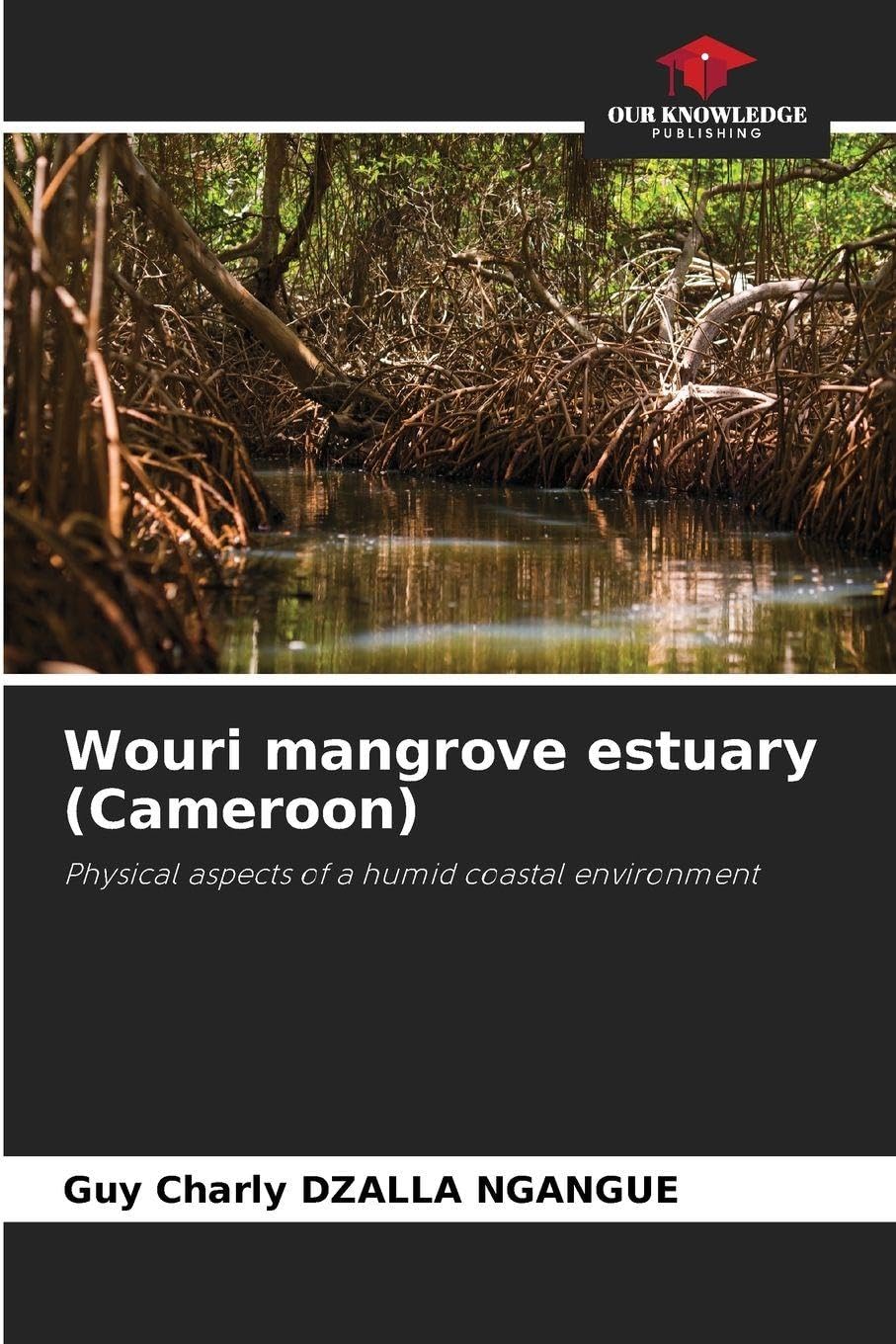 Wouri mangrove estuary (Cameroon): Physical aspects of a humid coastal environment