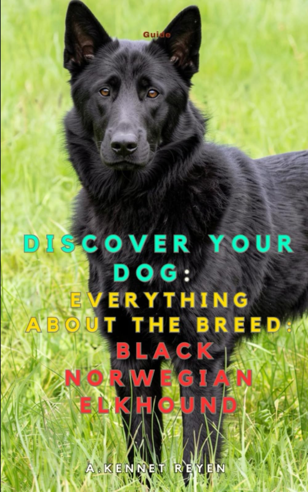 Discover your dog: Everything about the breed: Black Norwegian Elkhound