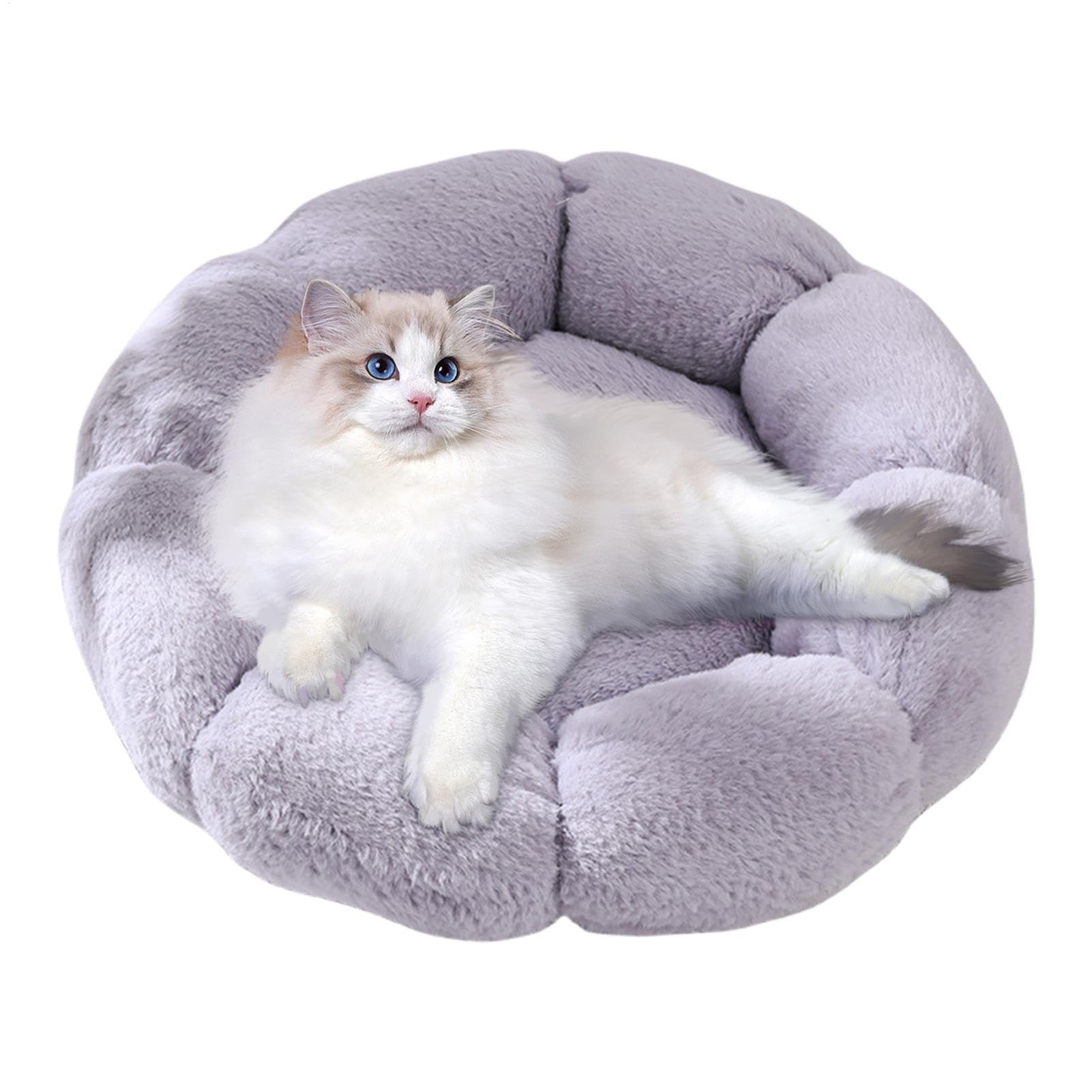 Lit pour chats à fleurs doux au salon pour affronter l'hiver