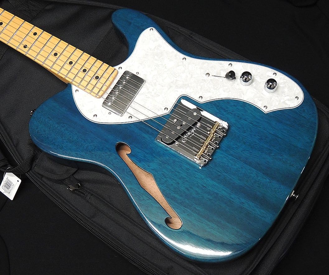 Amazon | FGN FUJIGEN NTE110MMHT TBL フジゲン Neo Classic SERIES