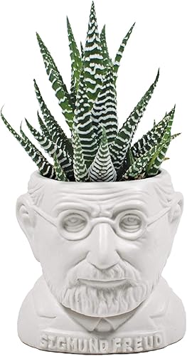 The Unemployed Philosophers Guild Sigmund Freud - Maceta de cerámica con busto