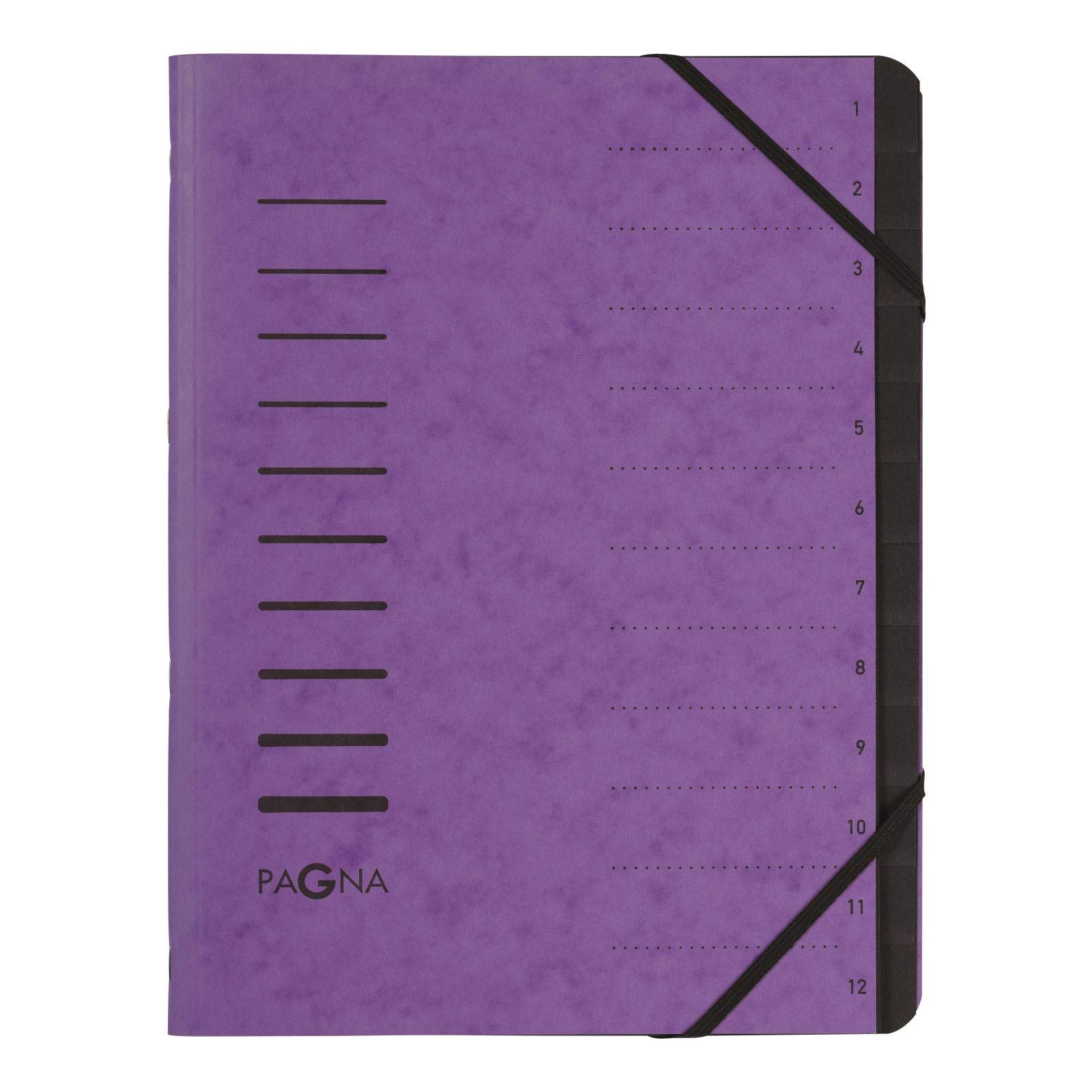 Pagna 4005910 A4 Pro 12 Part File - Purple