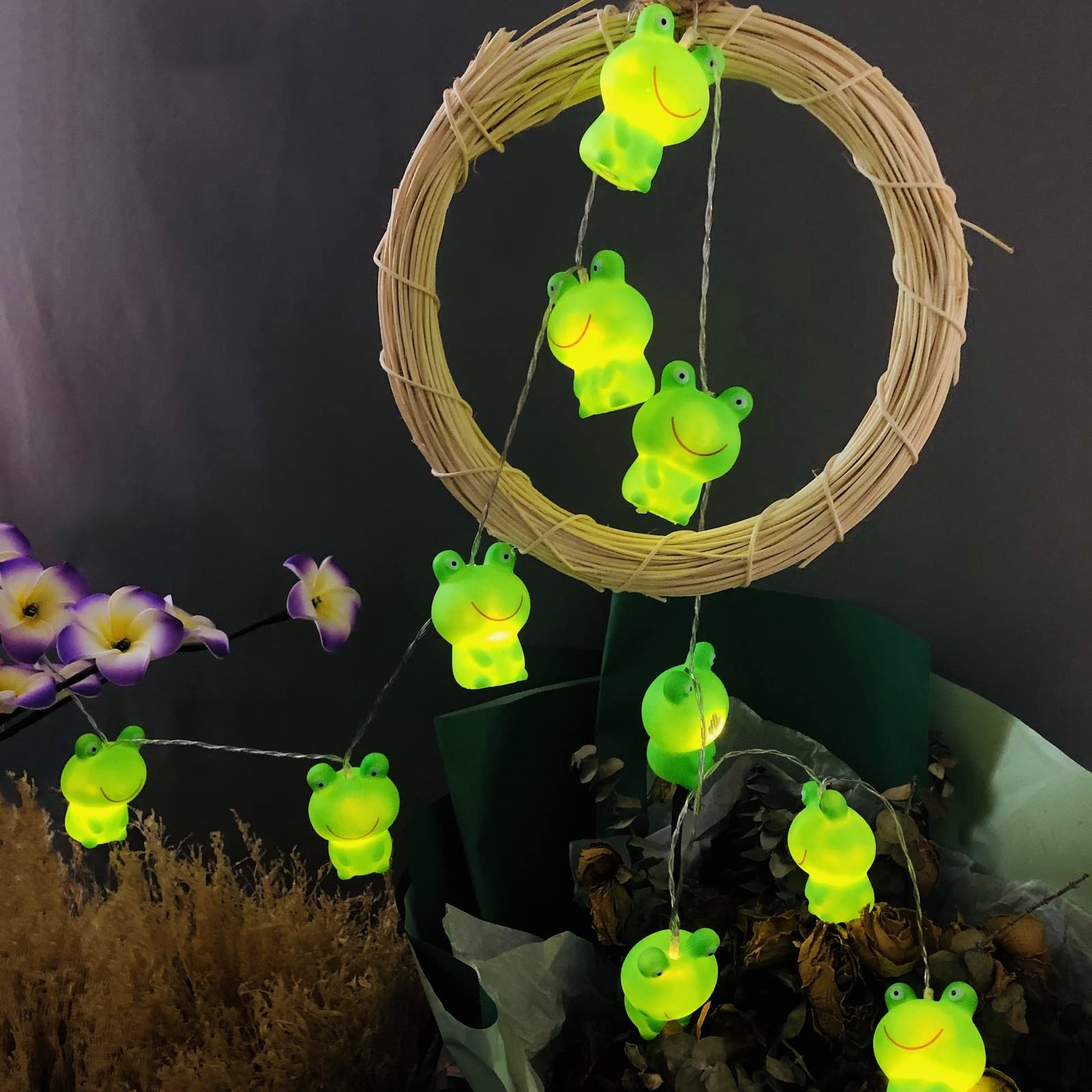 Riaxuebiy Cute Frog String Lights 2 Lighting Modes, Battery Powered/USB Plug in,9.8ft 20LEDs Animal Shape Children's Bedroom Decorative Fairy Lights for Patio Party Christmas Decoration (Big Frog)