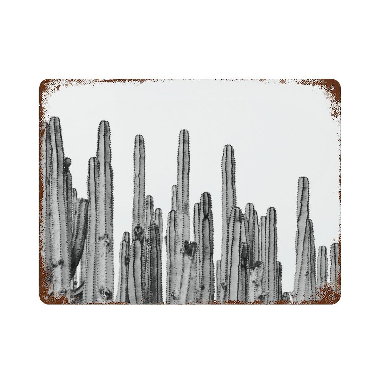 xiaoxiaoshen Cactus Prints, Botanical Photography, Cacti, Gallery, Succulents,(2) Wall Decor Art Metal Tin Poster Modern Home Decor Art Home Bar Shop Decorations Vintage Sign 30x40cm