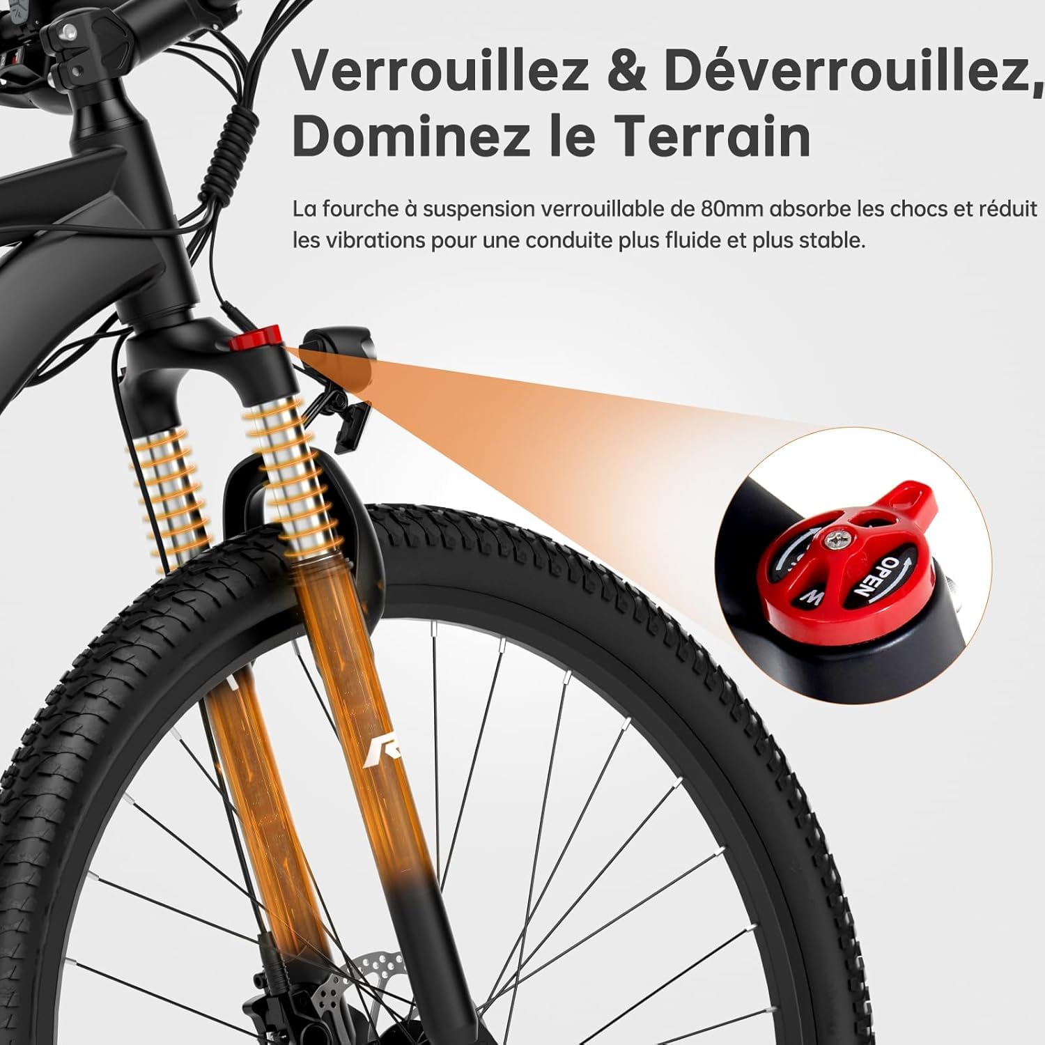 Xtremer 2/Xtremer 3 Vélo Électrique, 27.5"/29" VTT Électrique Homme Femme, Moteur 250W, Autonomie 120KM, Frein à Disque Hydraulique, Vélo Électrique en Montagne pour Adulte