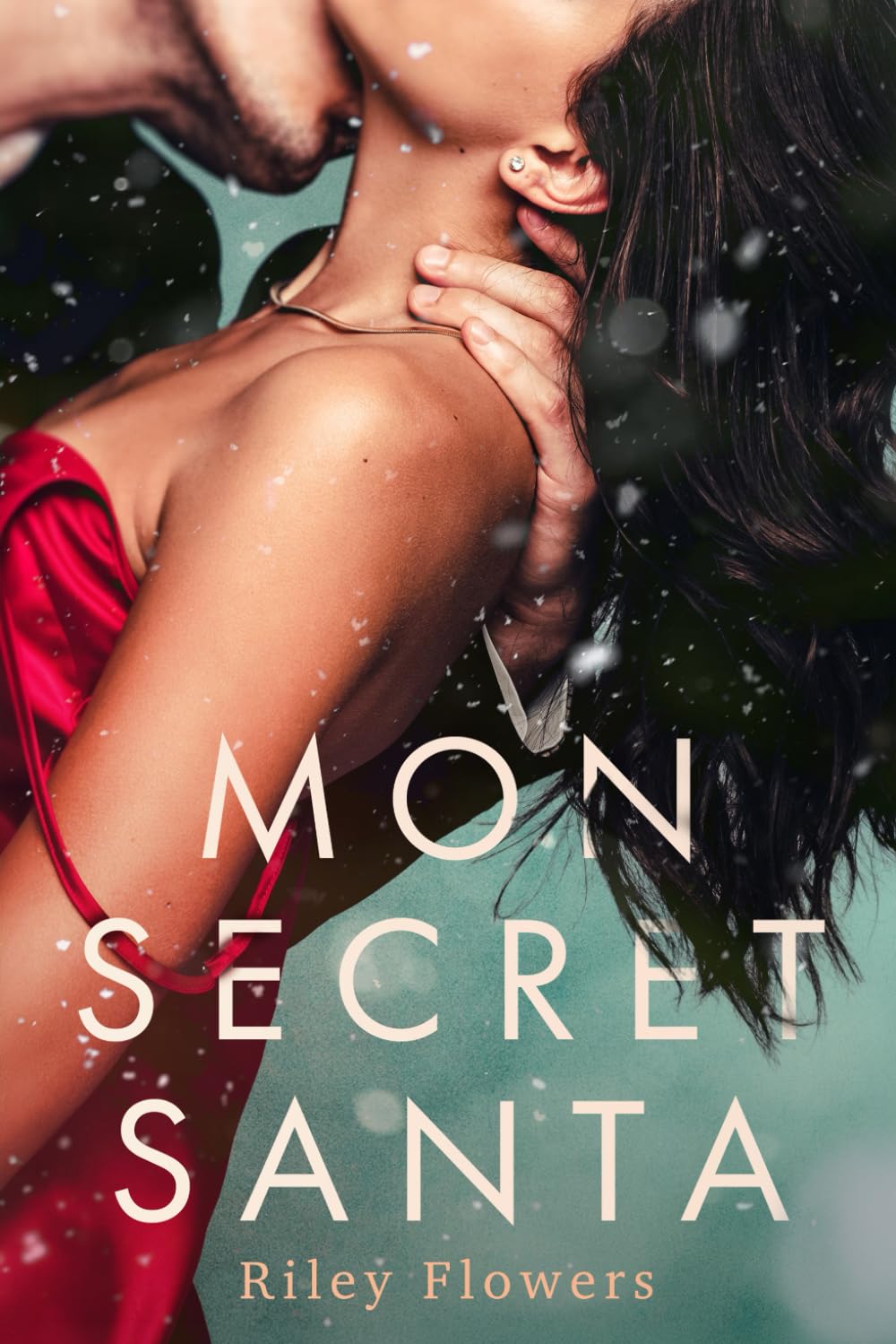 Mon Secret Santa (Désires Secrets)