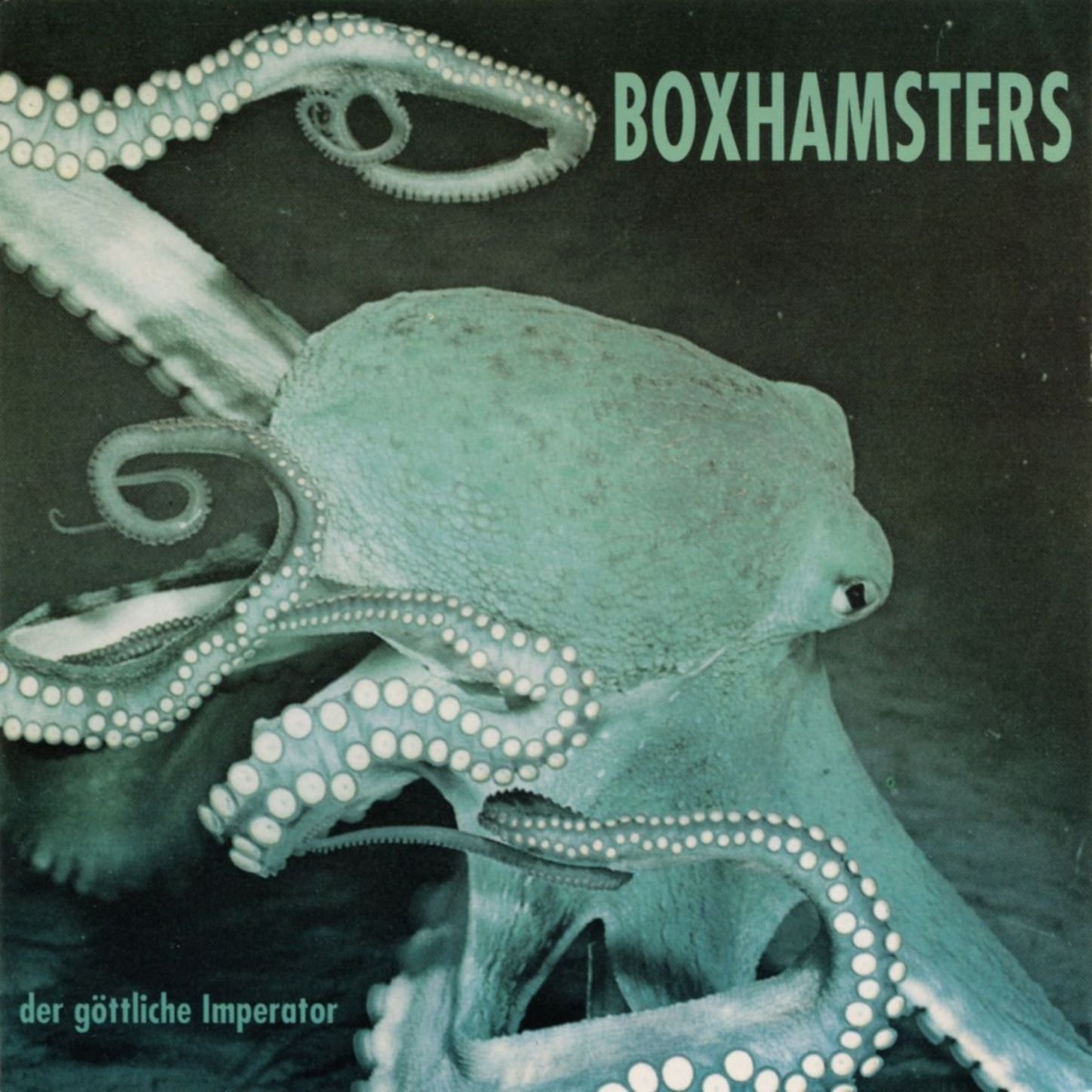 Boxhamsters
