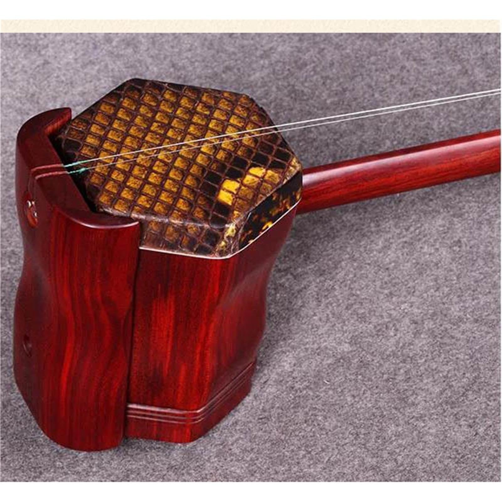Dorosłych Erhu Tradycyjny Występ Muzyczny Erhu Folk