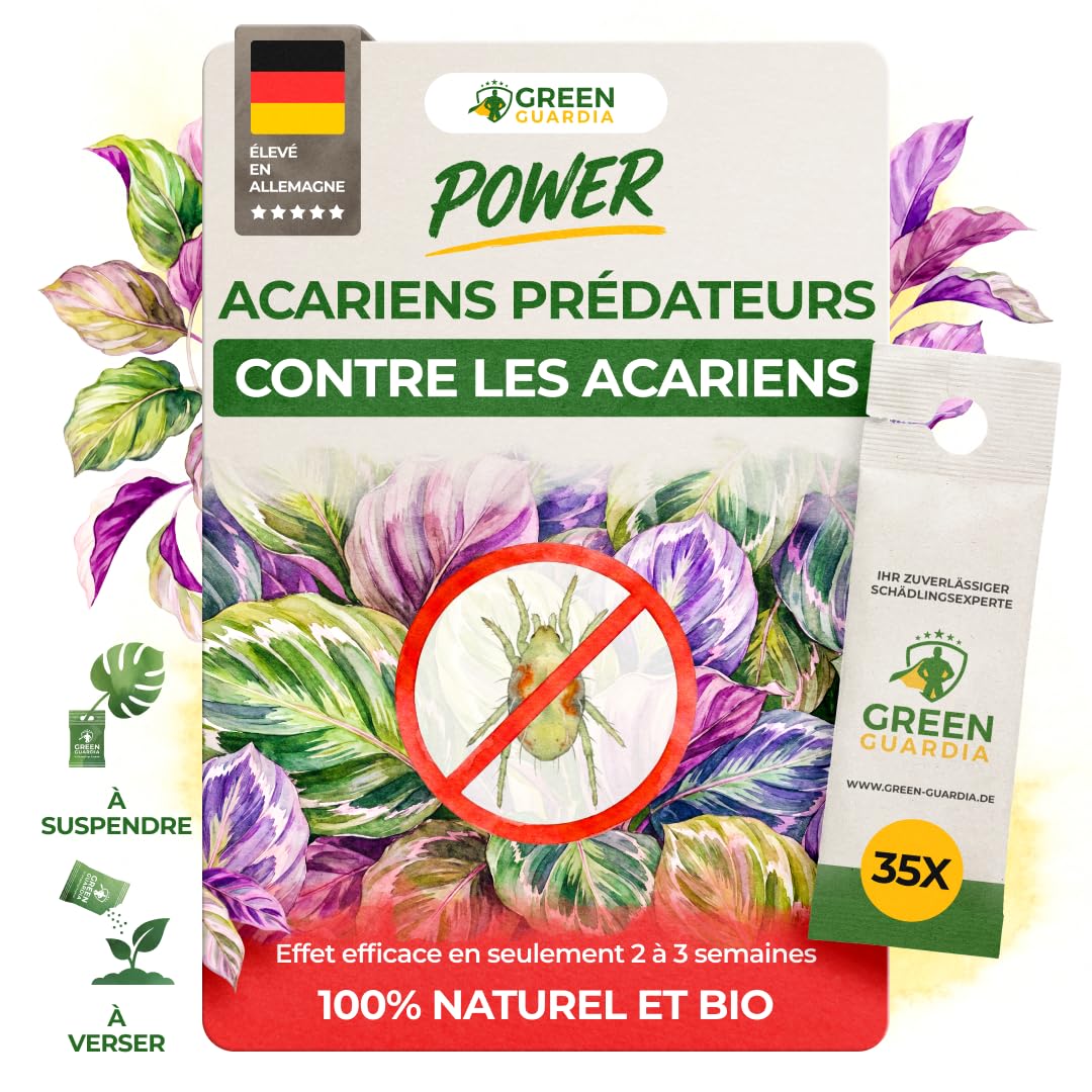 GREEN GUARDIA Power Acariens Anti-Acariens Biologiques – 35 Sachets Prêts à l’Emploi – Lutte Biologique contre les Tétranyques pour Plantes d’Intérieur, Plantes Ornementales et Cultures en Pot