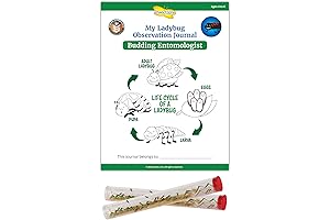 STEM Ladybug Activity Journal with Two Live Ladybugs
