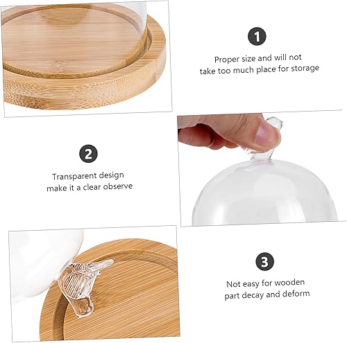 Miniatura 9 de SOIMISS Cúpula de cristal con base decorativa de cristal transparente, vitrina de mesa para Navidad, flores de rosas preservadas, suculentas,