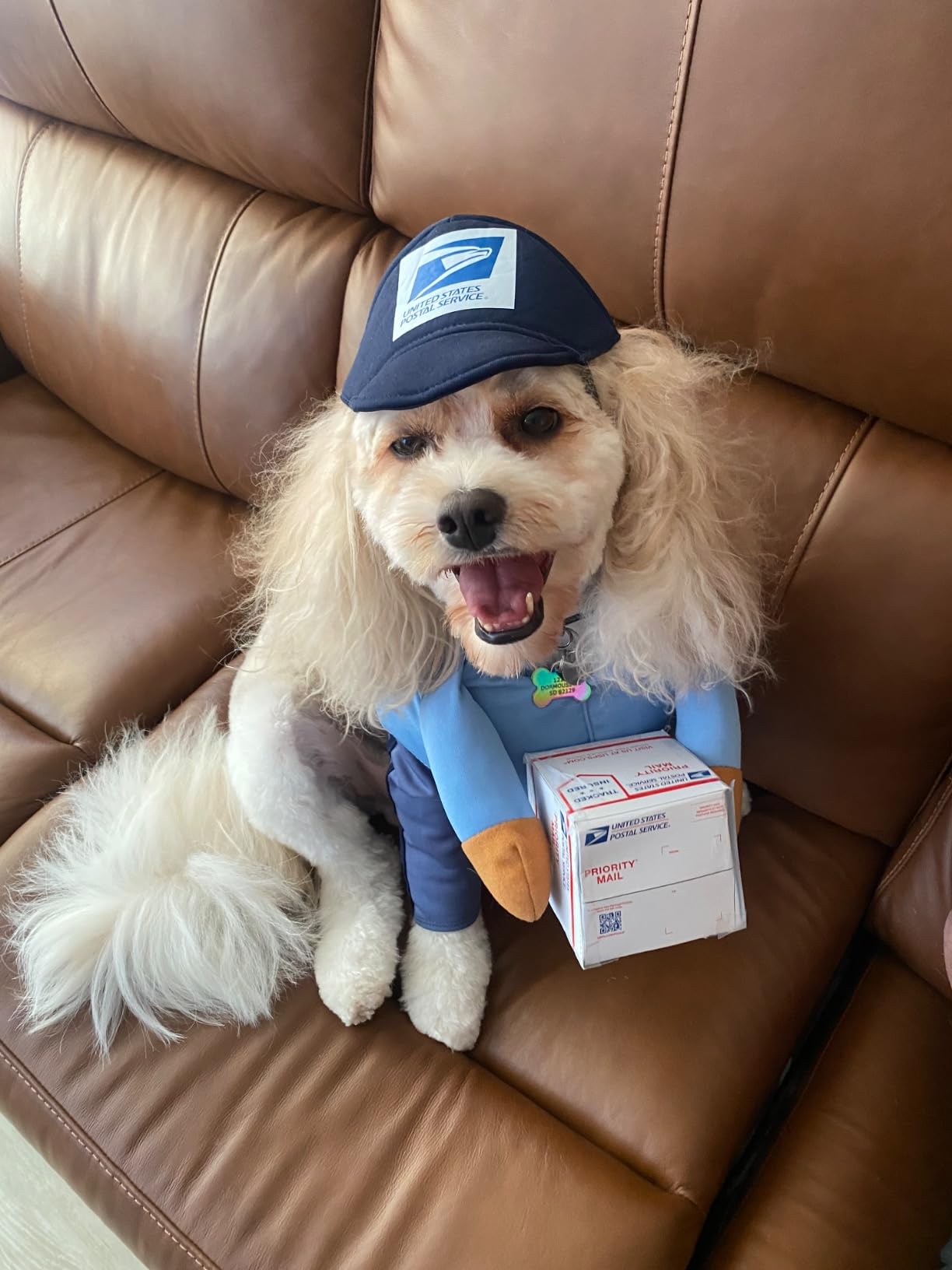USPS Mail Carrier Pup Dog Costume