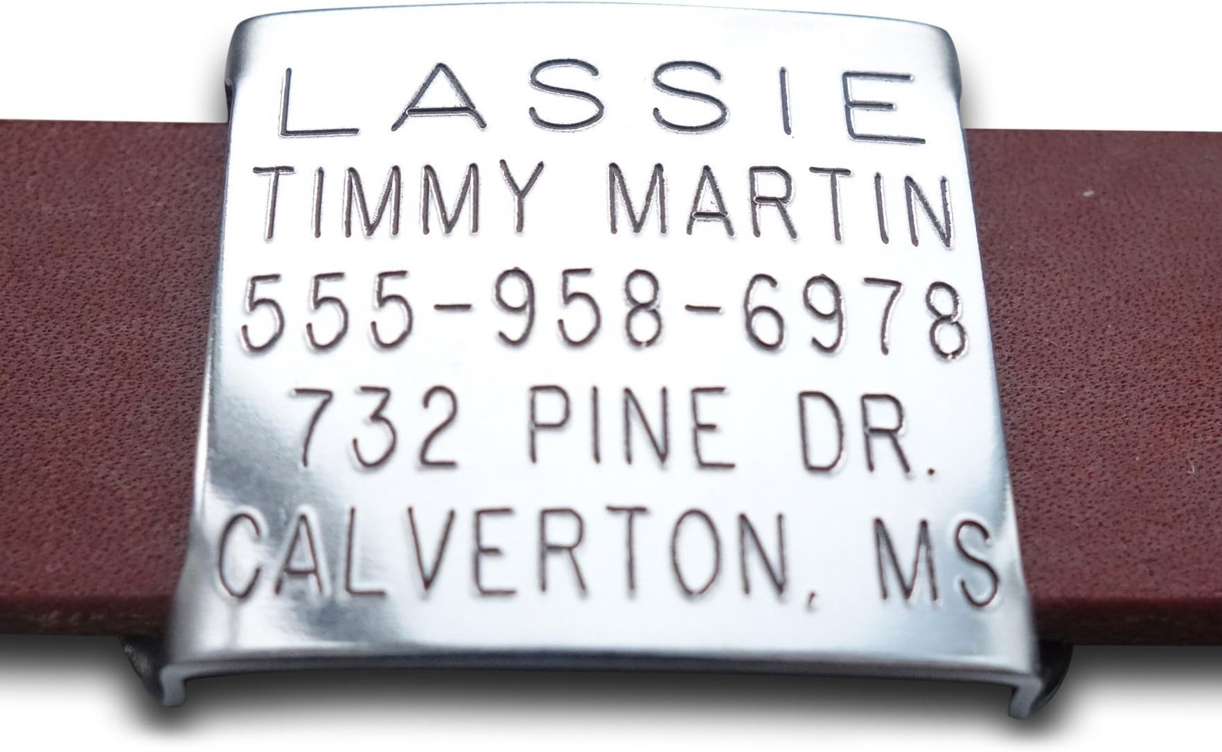 Leash Boss Thick Slide On Pet ID Tag for 5/8 Inch Wide Leather and Double Thick Nylon Collars, Small, Custom Engraved and Personalized Tag for Thick and Padded Dog Cat Belt Style Collars