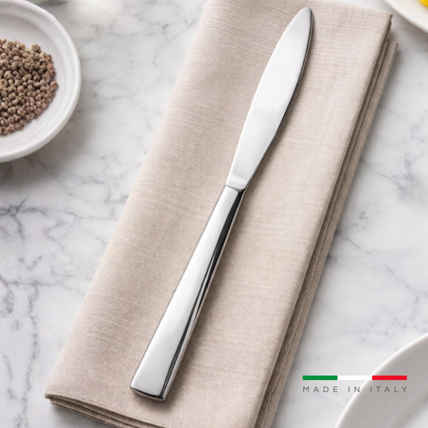 PALUPLUS Set 24 Coltelli in Acciaio Inox, Lunghezza 22 cm, Posate con finitura lucida, Design elegante, Lavabili in Lavastoviglie, per Casa, Cucina e Ristoranti Hotel, Made Italy -206M