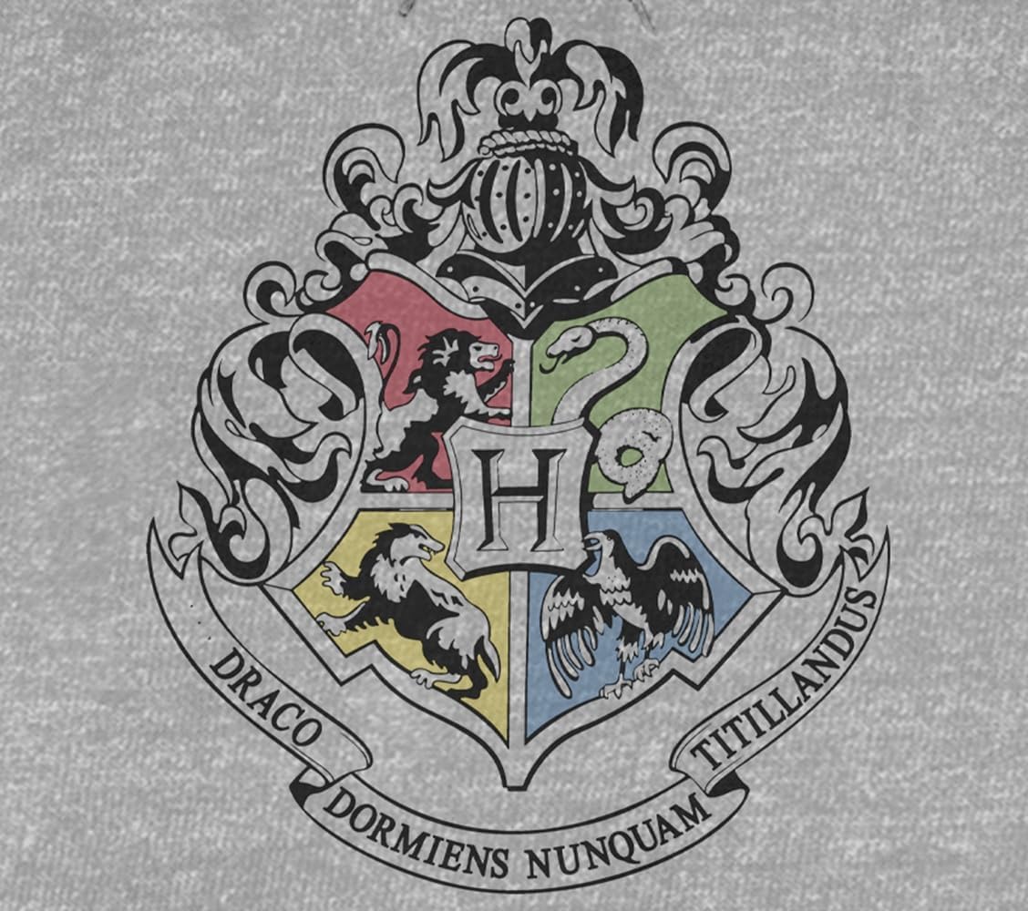 Harry Potter Hogwarts School Crest Men's Athletic Heather Grey Hoodie