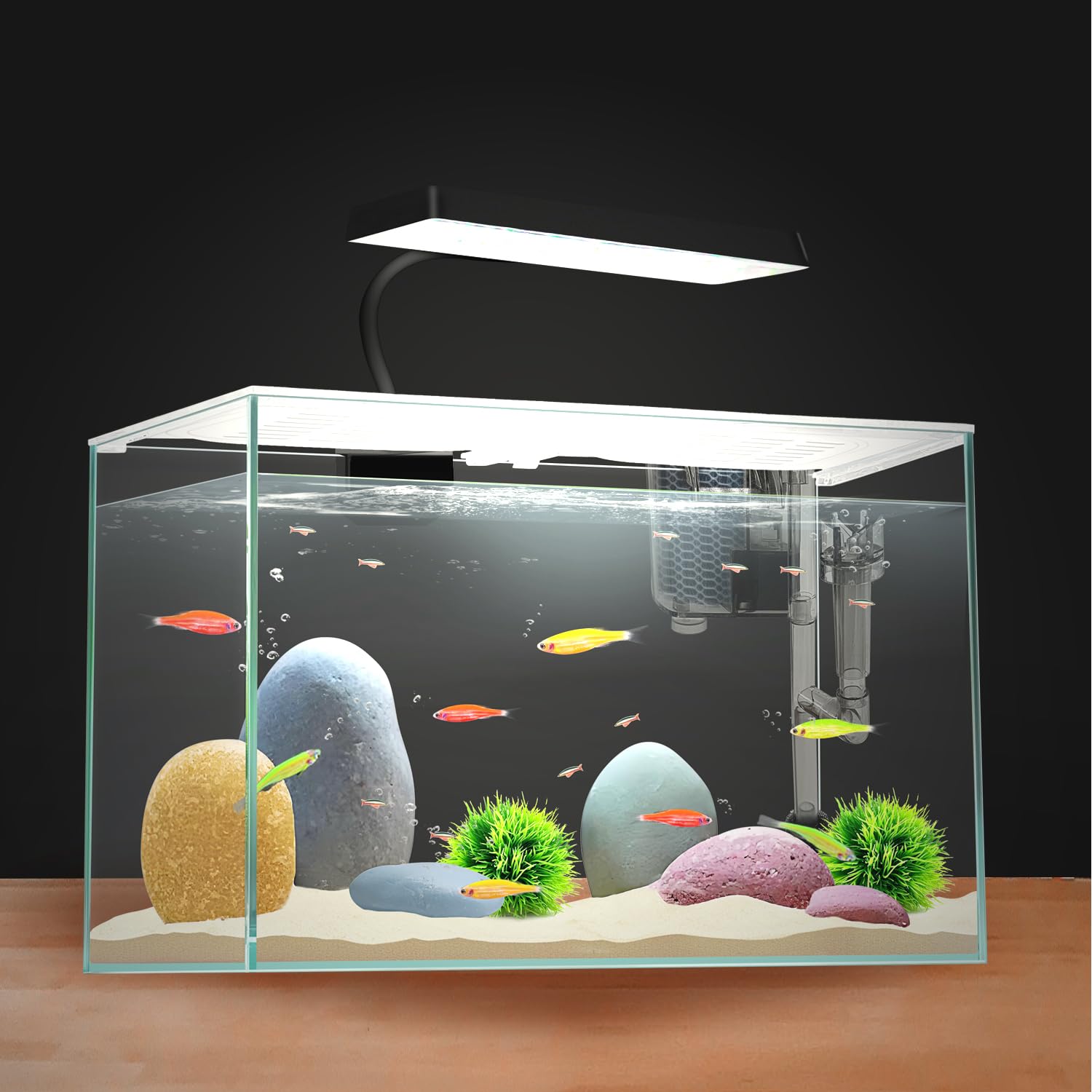 Acuario de Nano Cristal de 32 cm de Largo, con Placa separadora para Betta, pecera Cuadrada Multifuncional con Filtro, luz LED, Vidrio Blanco de 4 mm