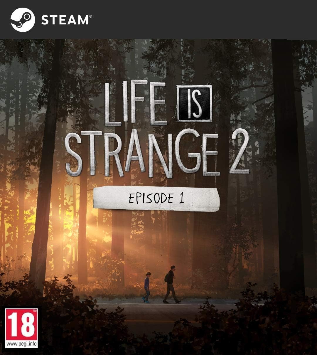 Life Is Strange 2 Episode 1 Pc Download Steam Code Amazon Co Uk Pc Video Games