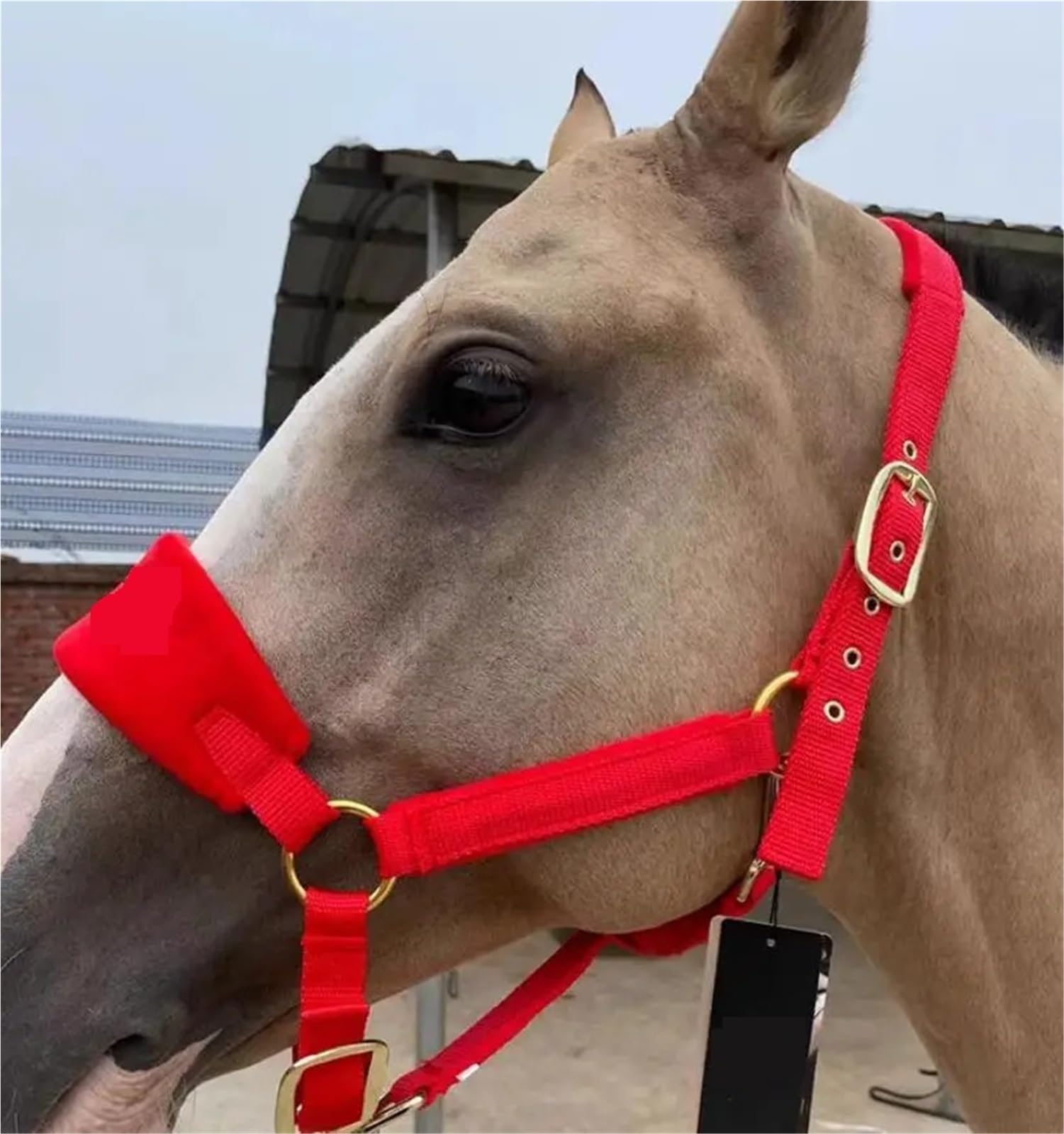 Cabestros de caballo, brida, cabezal , equipo ecuestre grueso, accesorios, arnés for montar a , cabezales(Brown)