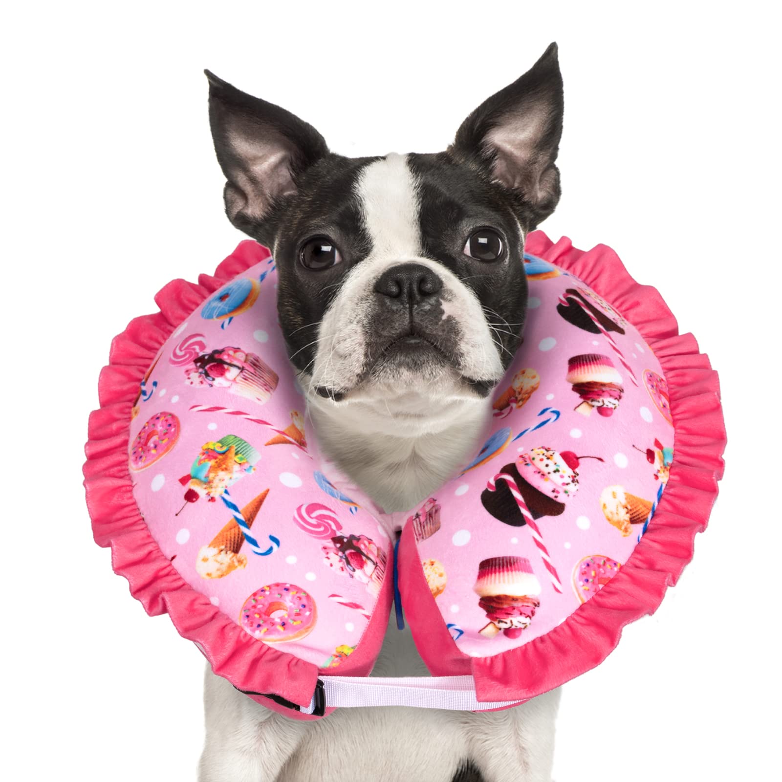 CuteBone Dog Recovery Cone for Small Medium Dogs &amp; Cats