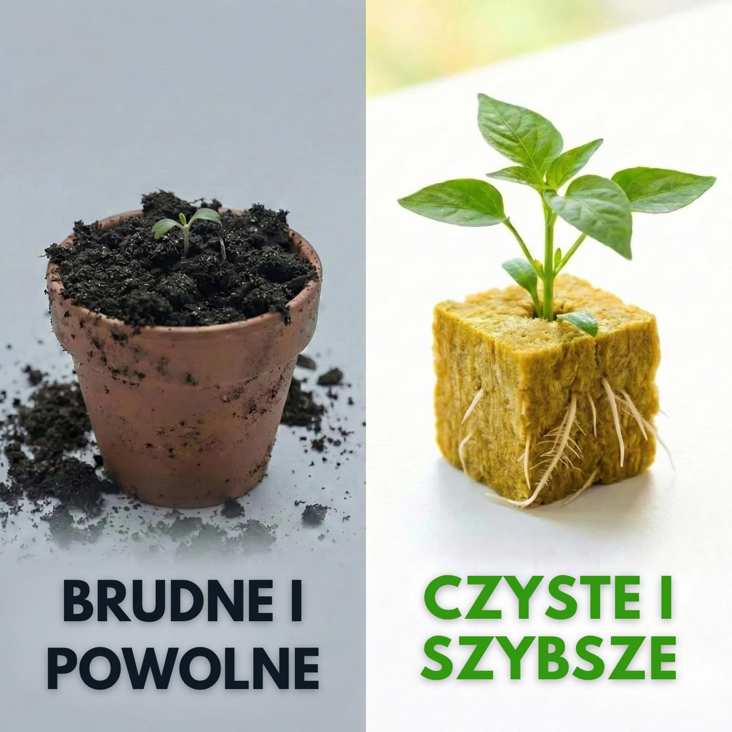 Zestaw 100 Kostek Wełny Mineralnej do Hydroponiki (2,5 cm) do Kiełkowania i Sadzonek, Napowietrzone Podłoże Wspomagające Szybki Wzrost, Ogrodów