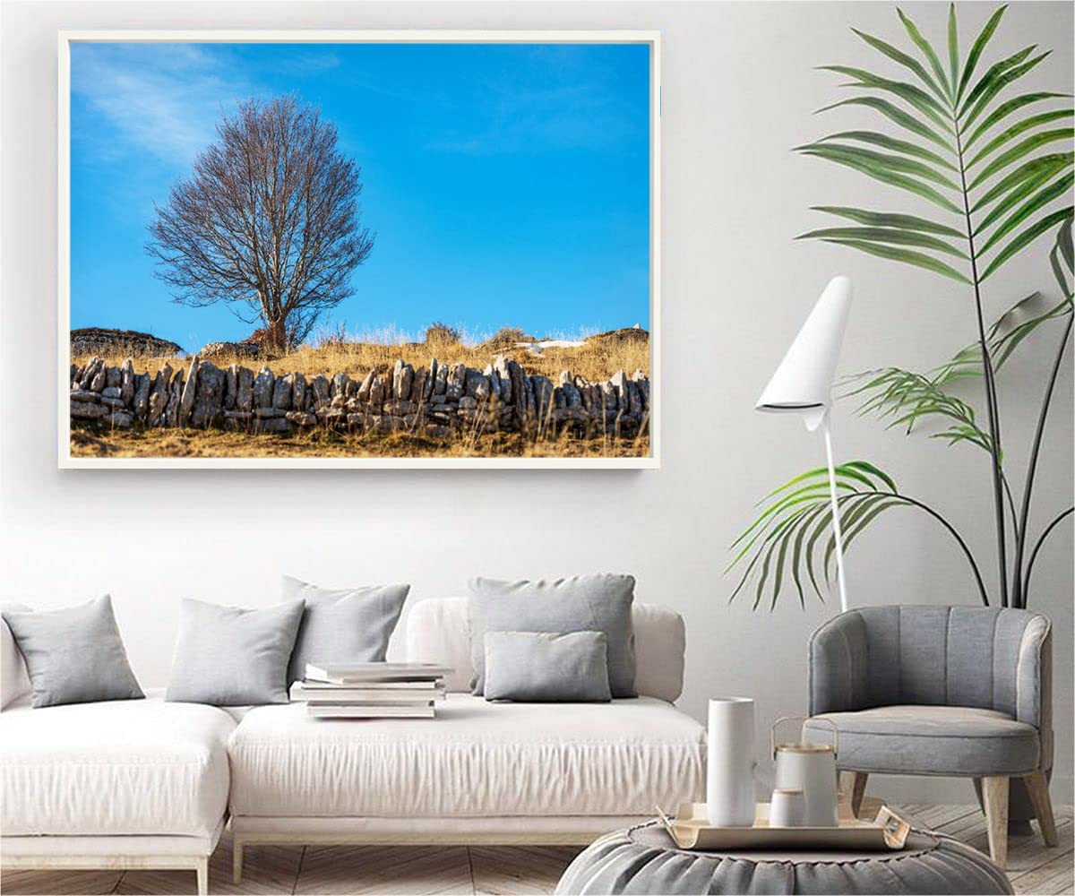 VERRE ART White Floater Framed Canvas - Wall Decor for Living Room, Bedroom, Office, Hotels, Drawing Room (34in X22in) - Bare Beech Tree & Stone Wall