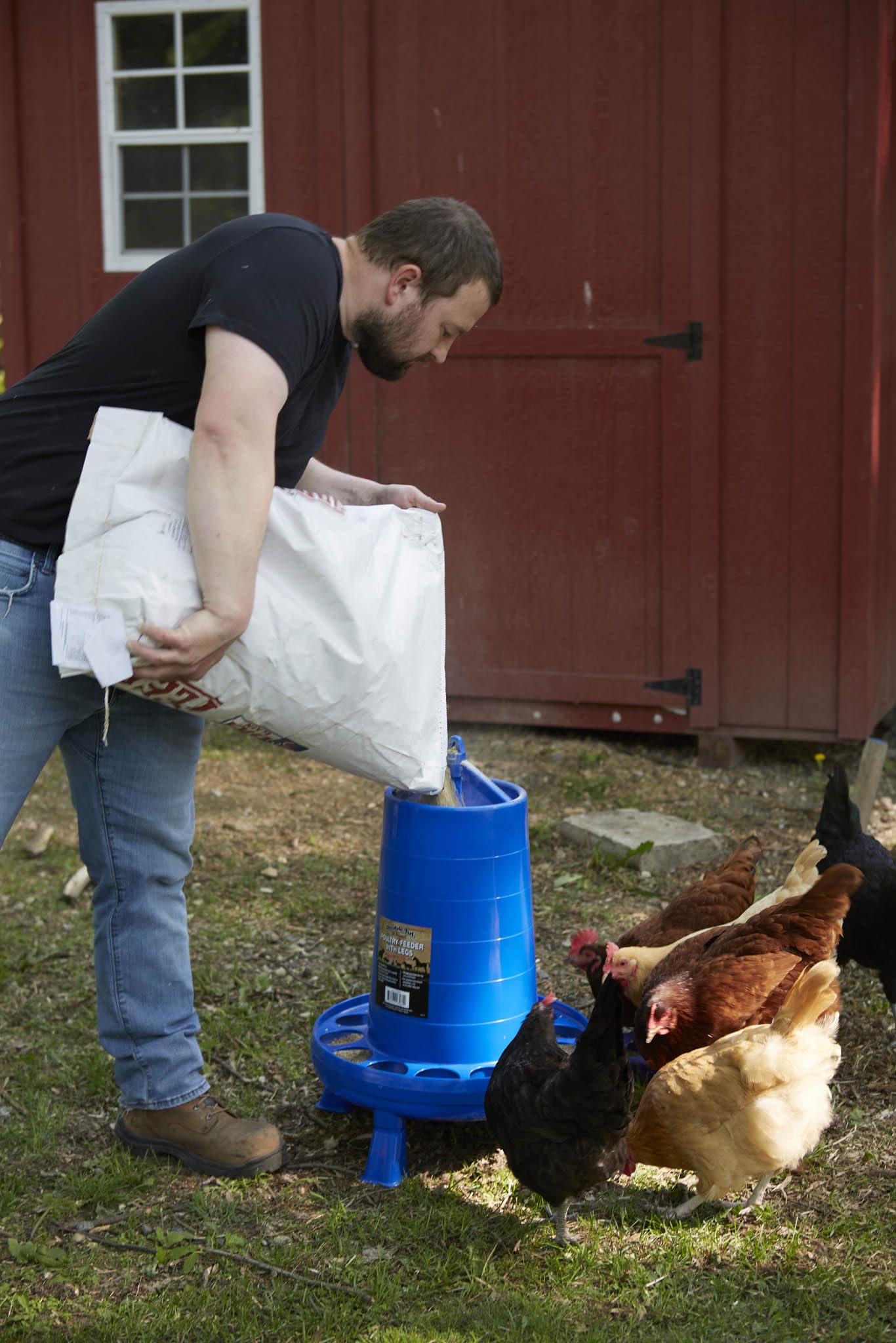 Mangiatoia per pollame con gambe, contenitore per alimentazione resistente, maniglia per il trasporto per polli e uccelli, mangiatoia per polli, 15,9 kg