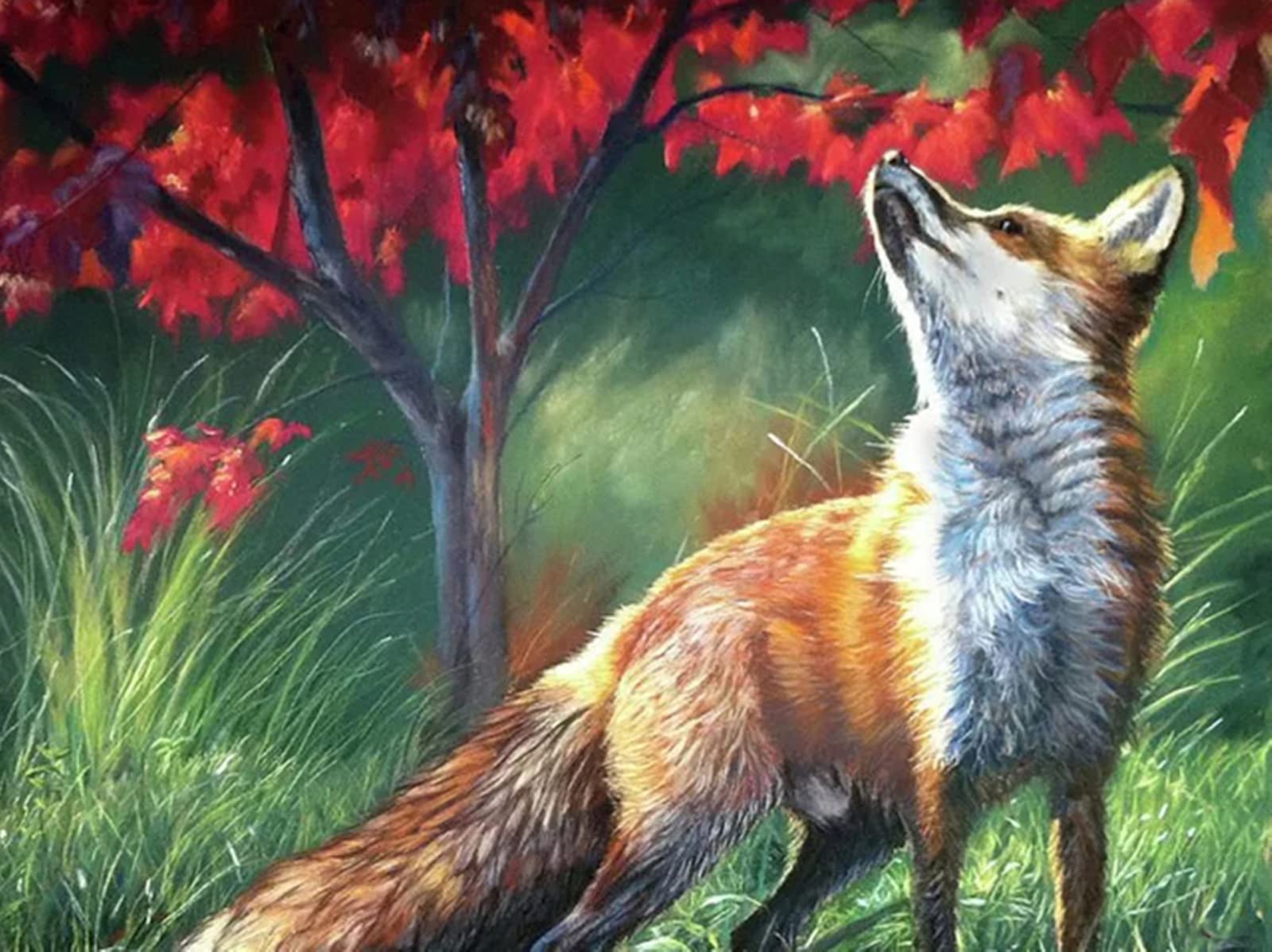5000 Bunte Puzzleteile Fuchs Kunstsammlung, Puzzlekunst FüR Erwachsene Und Kinder, Hochwertiger Druck Fertige Größe 156×105cm