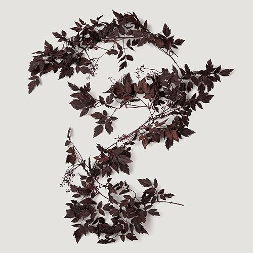 Vista 4 de Afloral Guirnalda de semillas de ciruela Cimicifuga - 6