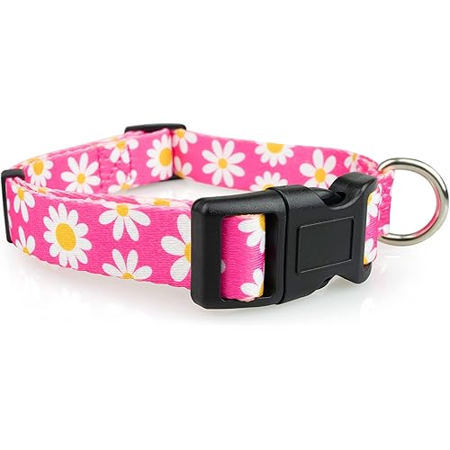 Limeloot Pink Daisy Dog Collar, Spring Summer Dog Collar for Female Dogs, Large