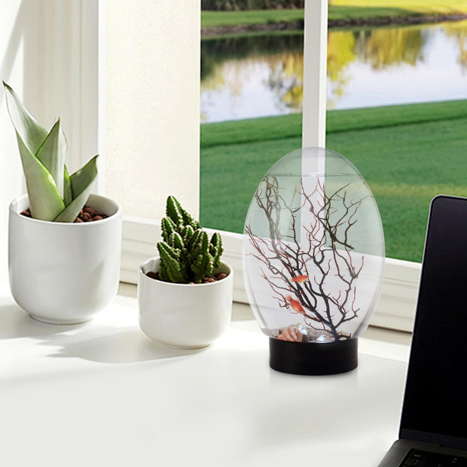 Mini Aquarium de Bureau avec éclairage LED, écosystème Autonome, Pas Besoin de Nourrir ni Changer l'eau, écosystème Aquatique fermé pour la Maison, Le Bureau, l'écosphère crevettes, la bios