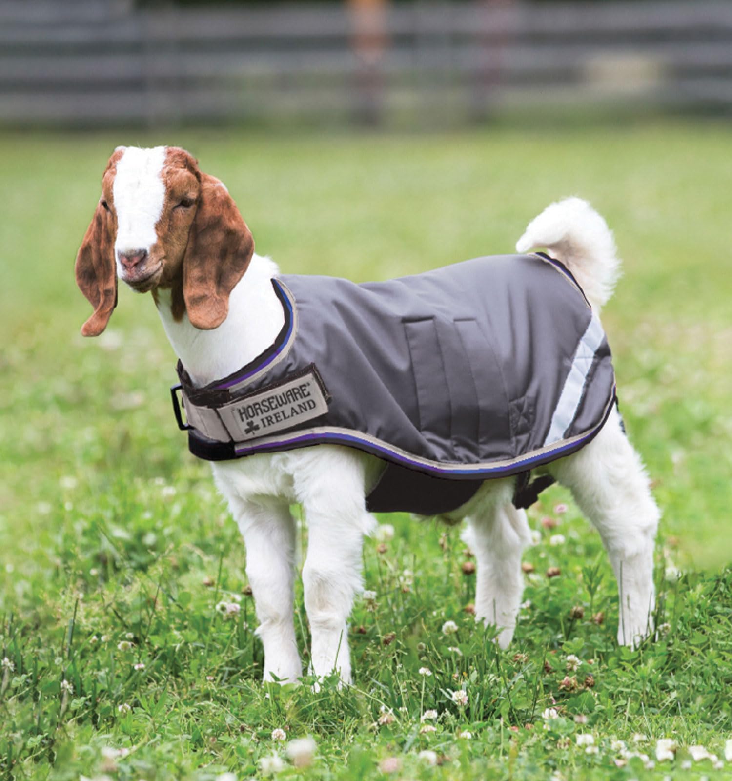 Horseware® Goat Rug - Excalibur/Silver &amp; Strong Blue &amp; Black, Double Extra Large