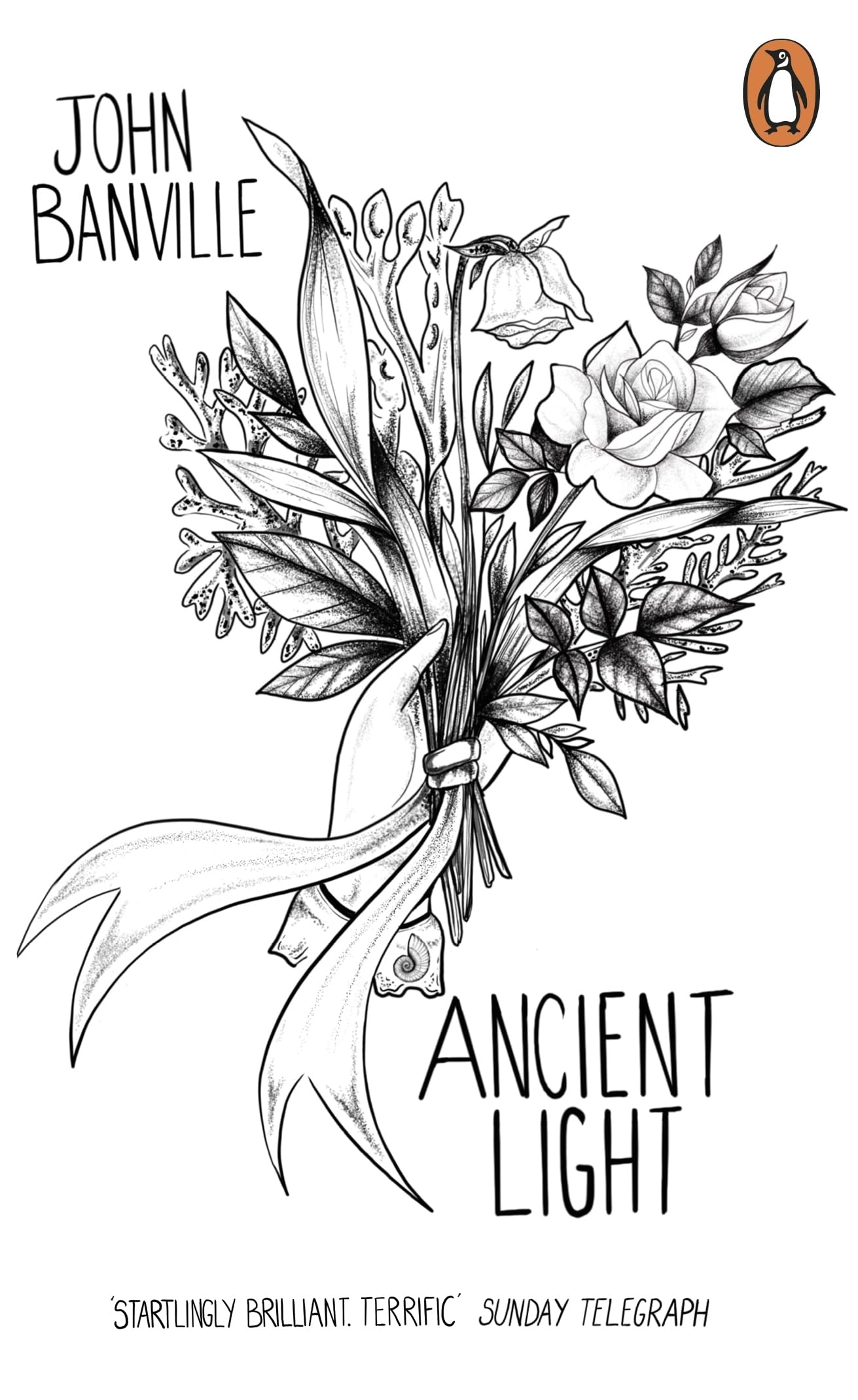 Ancient Light: John Banville: 109 (Penguin Essentials, 109)