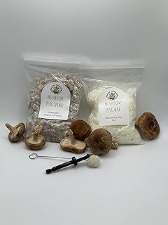 Shiitake Mushroom Plug Spawn/Drill bit/Wax COMBO 100x