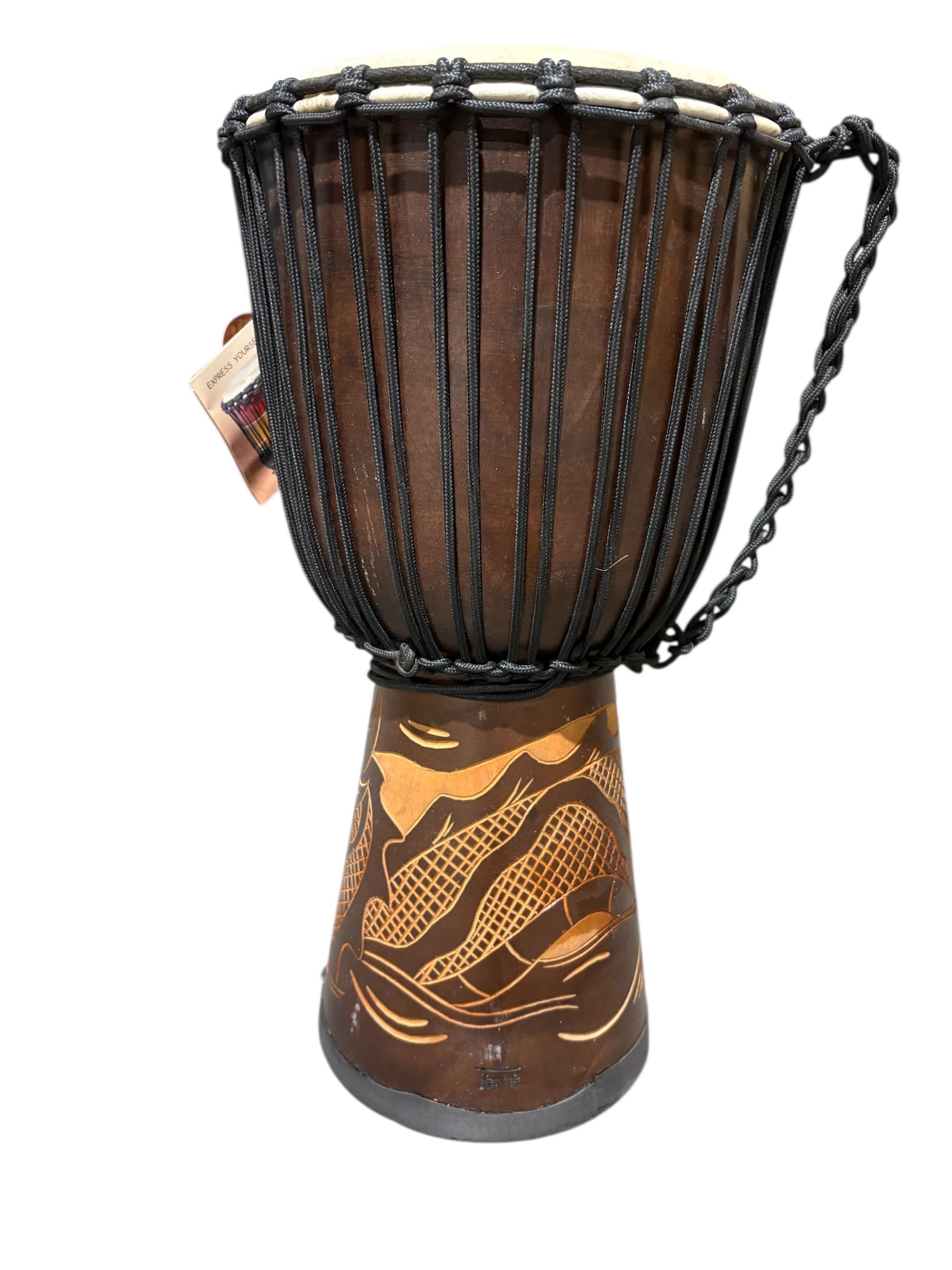 Amazon.com: New Djembe Standard linecarv, 24