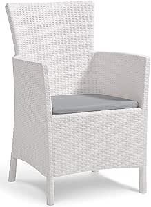 Amazon.de Allibert Dining Sessel Iowa, Weiß, Stuhl Kunststoff, bequeme