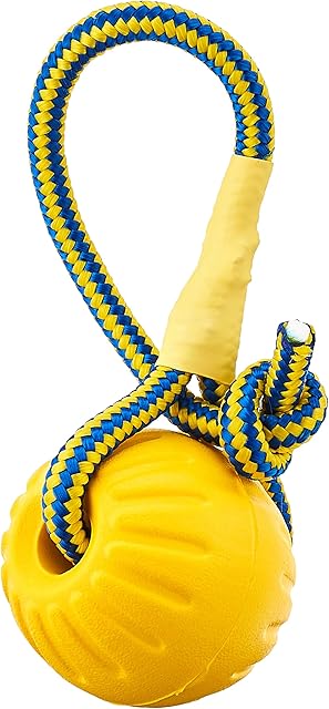 Everlasting Starmark 078062 Fantastic Foam Ball on A Rope, clear