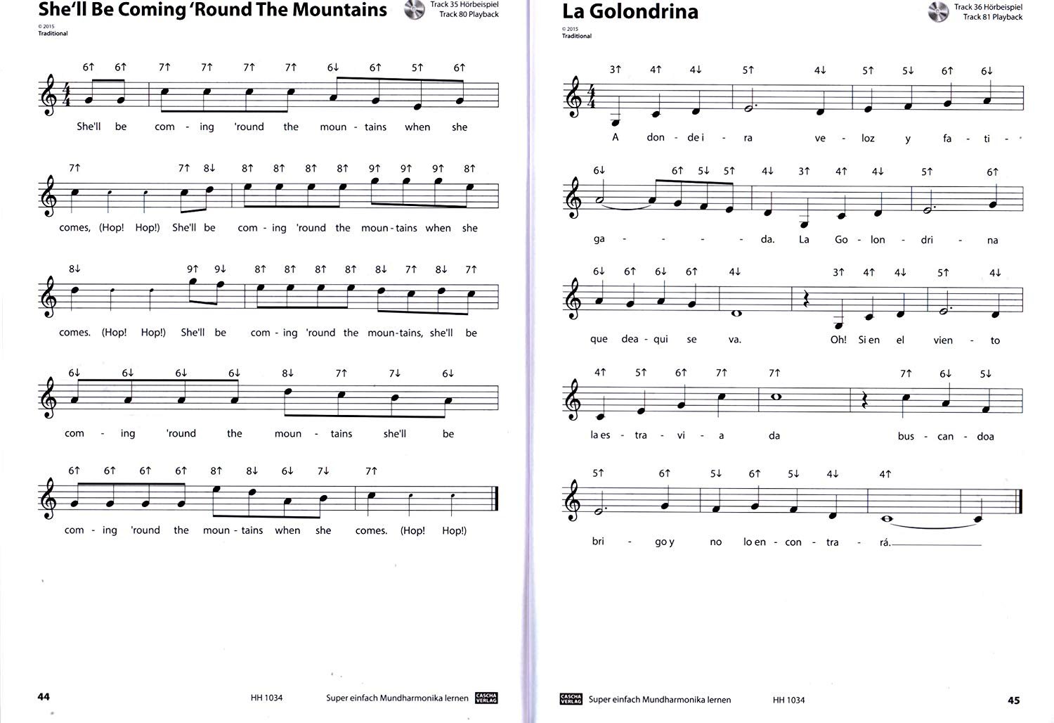 Seydel Blues Session Steel G-Dur mit Lehrbuch Super Einfach Mundharmonika Lernen