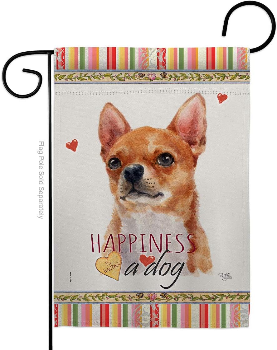 Shorthair Chihuahua Happiness Garden Flag Set Wall Holder Animals Dog Puppy Spoiled Paw Canine Fur Pet Nature Farm Animal Creature Small Gift Yard House Banner Made In USA 13 X 18.5