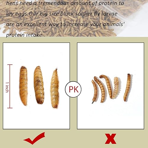 Miniatura 4 de Black Soldier Fly Larvaeis, 5 libras, 100% natural, tamaño grande, sin humedad, gusano de harina para pájaros, pollos, erizo, hámster, pez, reptil,