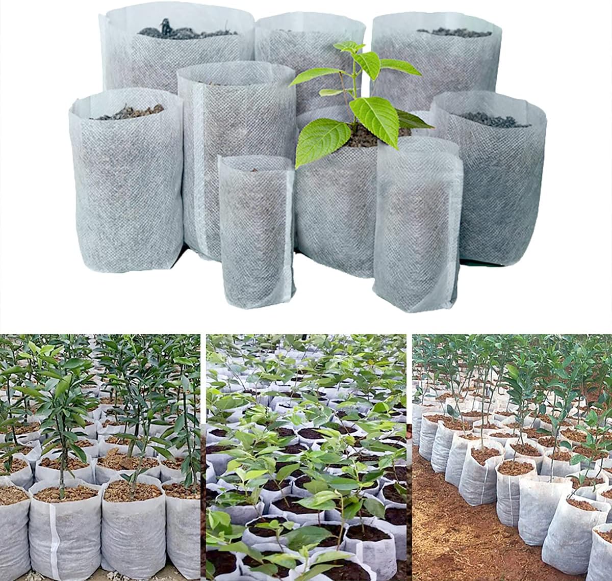 100PCS Plant Grow Bags, Non-Woven Plant Nursery Bags Fabric Seedling Pots for Garden