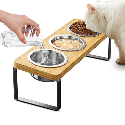 Elevated Cat Bowls with 3 Stainless Steel Bowls | 10°